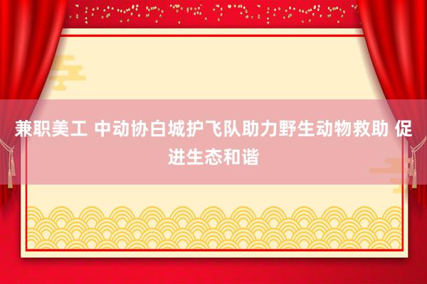 兼职美工 中动协白城护飞队助力野生动物救助 促进生态和谐